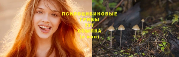 МДПВ Балахна