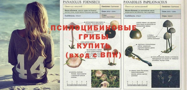 МДПВ Балахна