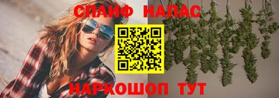 стаф Будённовск