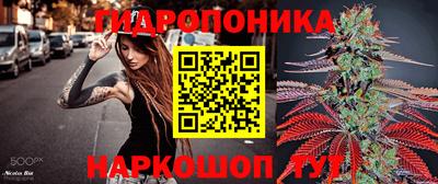 стаф Бузулук