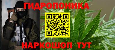 стаф Бузулук