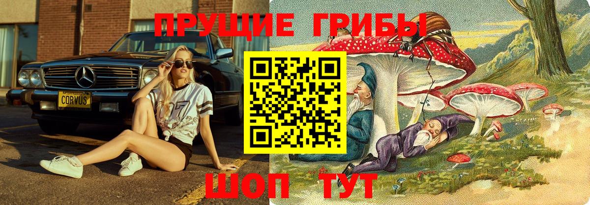 Псилоцибиновые грибы Magic Shrooms  Вятские Поляны  Псилоцибиновые грибы Psilocybe 