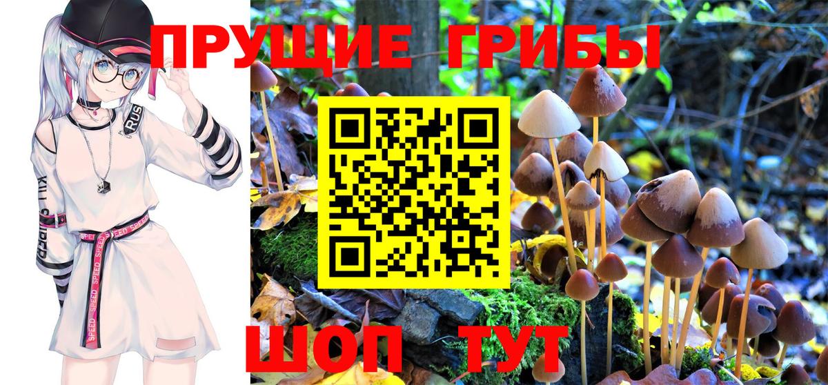 Галлюциногенные грибы MAGIC MUSHROOMS  Вход с VPN  Вятские Поляны  Псилоцибиновые грибы мухоморы 