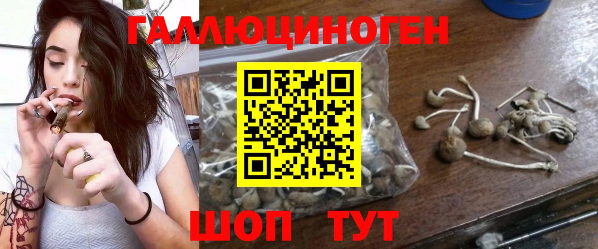 Галлюциногенные грибы GOLDEN TEACHER Вятские Поляны